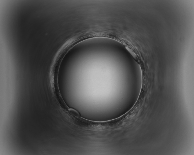 X0000100480197200806131237