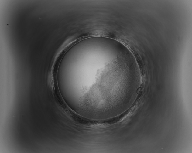 X0000100480198200806131237