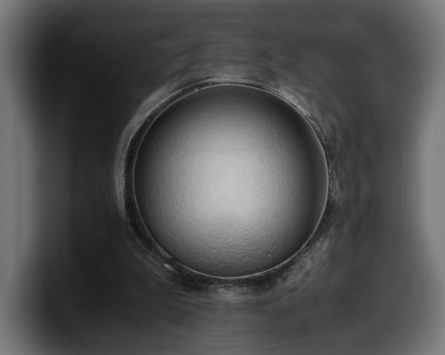 X0000100480199200806131237