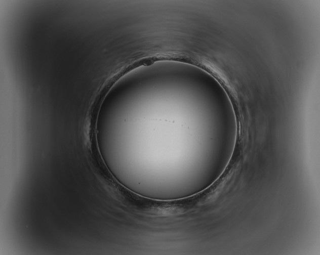 X0000100480201200806131237