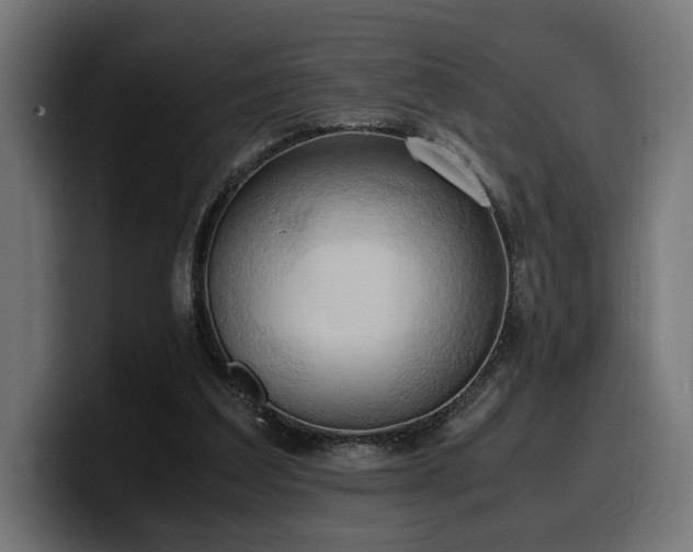 X0000100480203200806131237