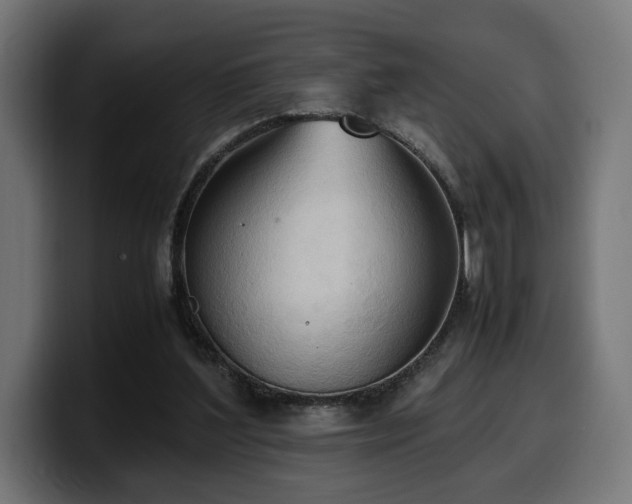 X0000100480204200806131237