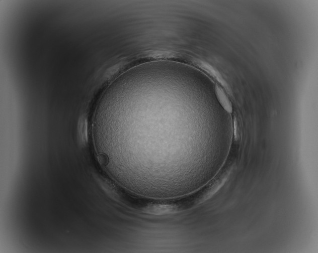 X0000100480205200806131237