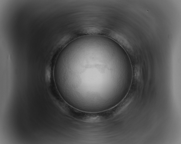 X0000100480206200806131236