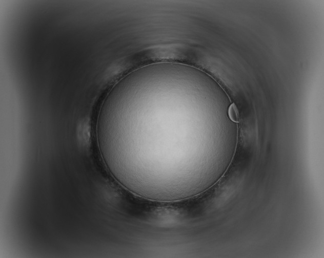 X0000100480207200806131236