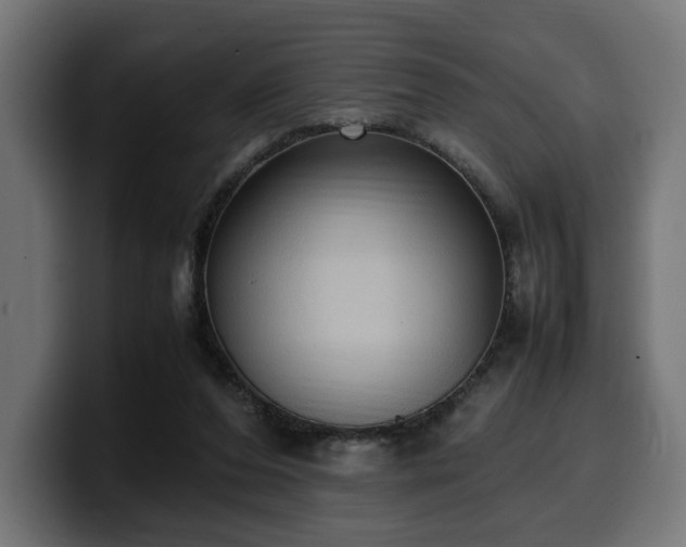 X0000100480208200806131236