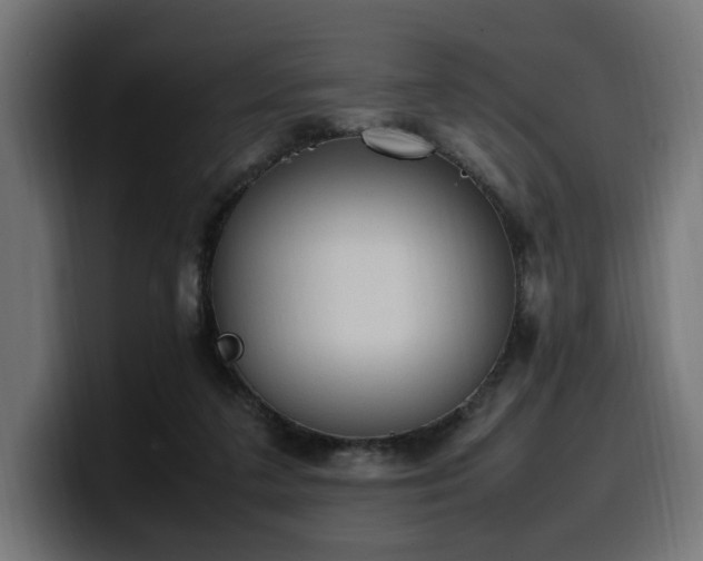 X0000100480211200806131236