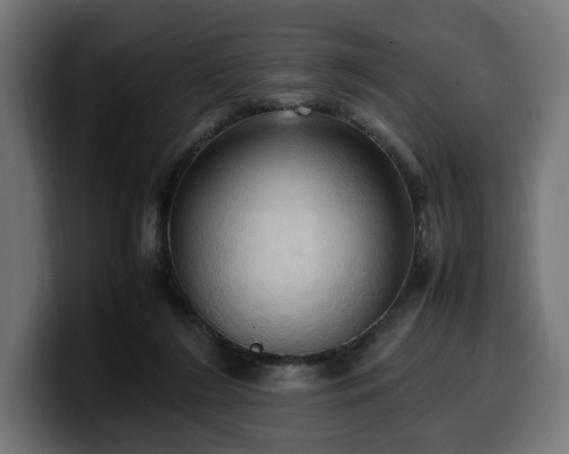 X0000100480212200806131236