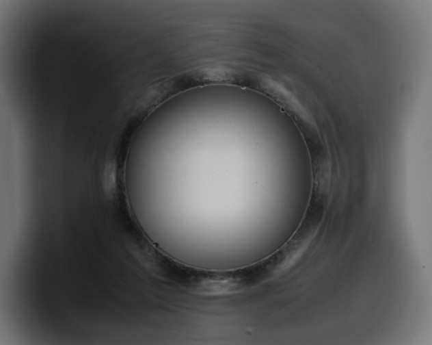 X0000100480213200806131236