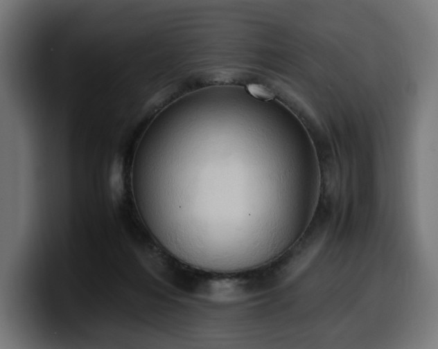 X0000100480216200806131236