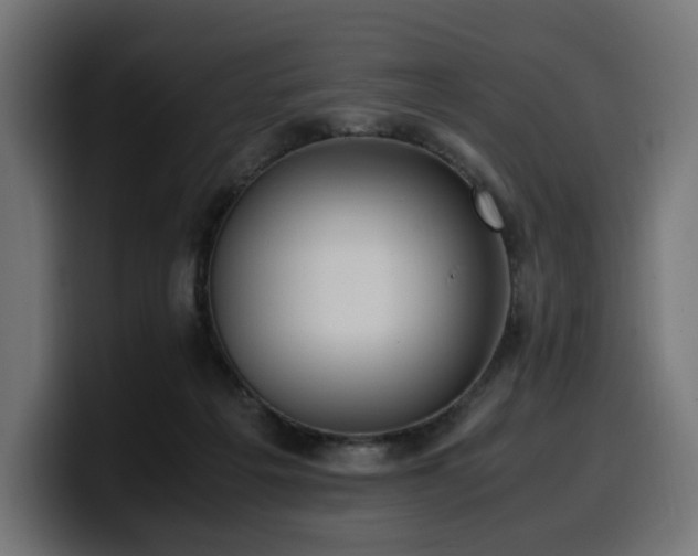 X0000100480217200806131236