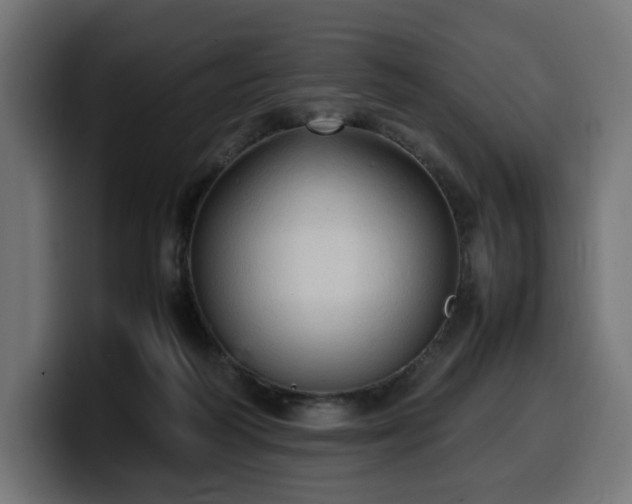 X0000100480218200806131236