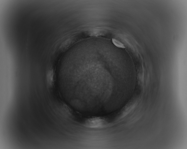 X0000100480219200806131236