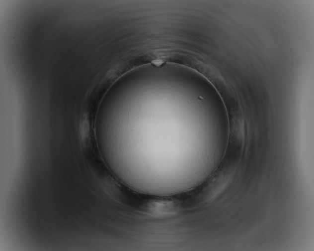 X0000100480220200806131236