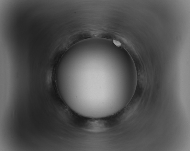 X0000100480221200806131236