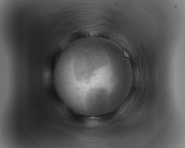 X0000100480222200806131236