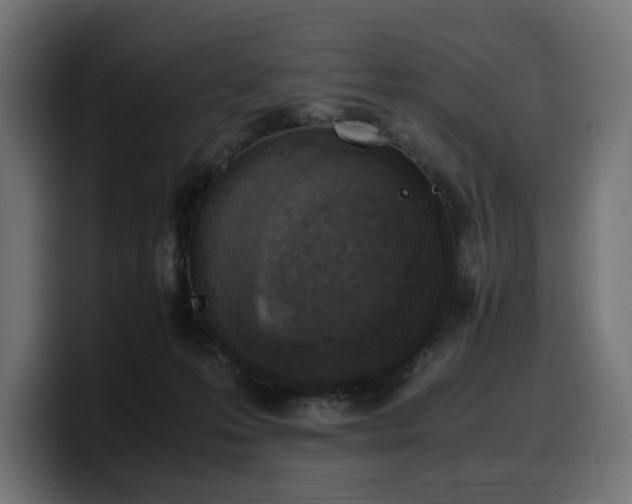 X0000100480223200806131236