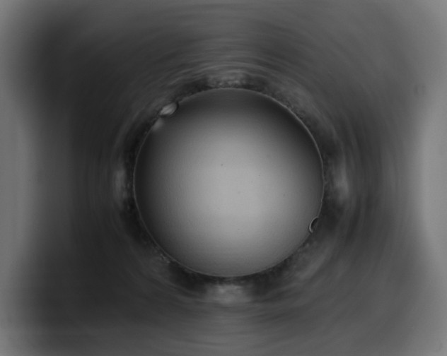 X0000100480224200806131236