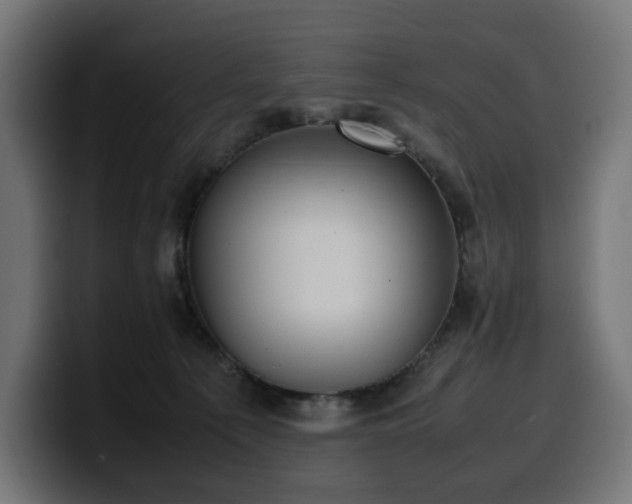 X0000100480225200806131236