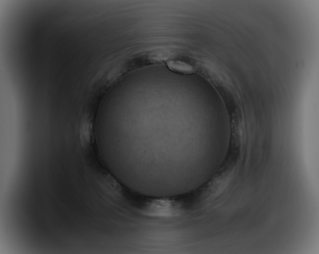 X0000100480227200806131236