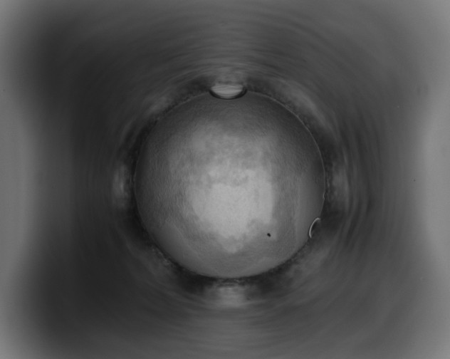 X0000100480228200806131236