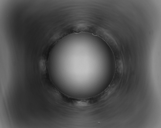 X0000100480232200806131236