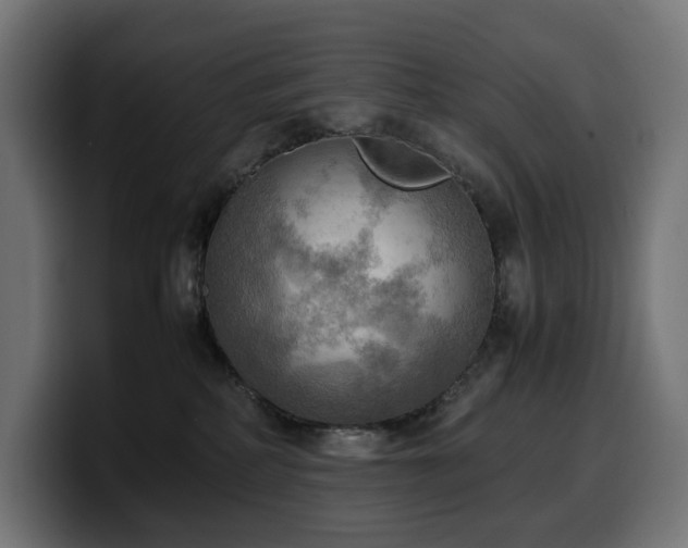 X0000100480234200806131236