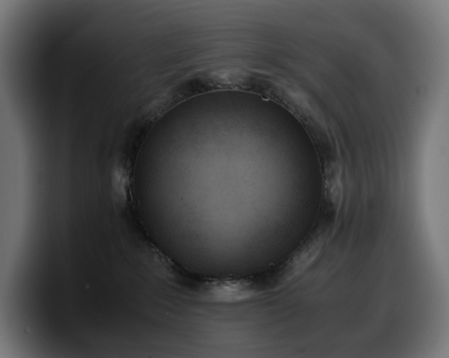 X0000100480235200806131236
