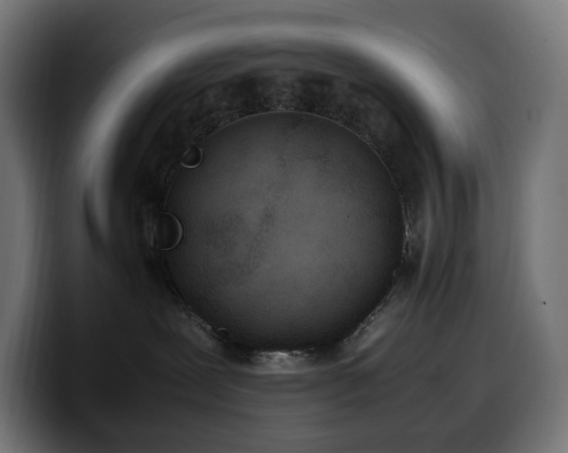 X0000100480239200806131236