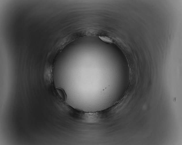 X0000100480240200806131236