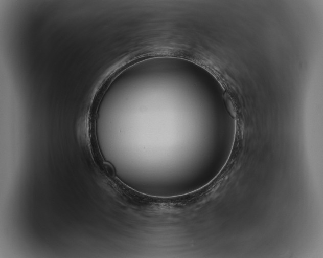 X0000100480244200806131235
