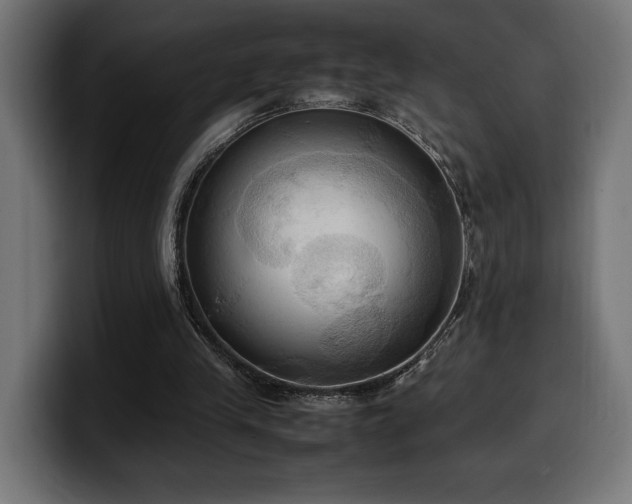 X0000100480245200806131235