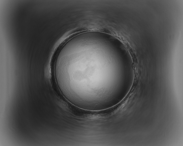 X0000100480246200806131235