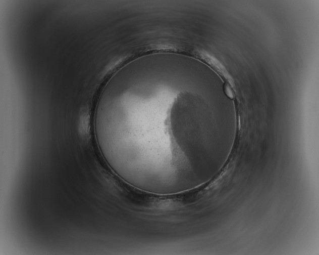 X0000100480249200806131236