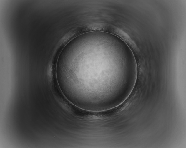 X0000100480250200806131236