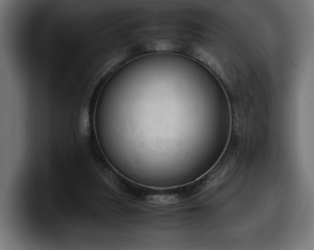 X0000100480251200806131236