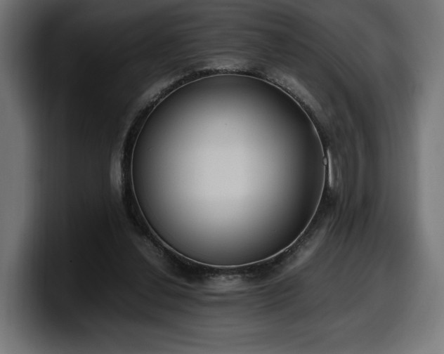 X0000100480252200806131236