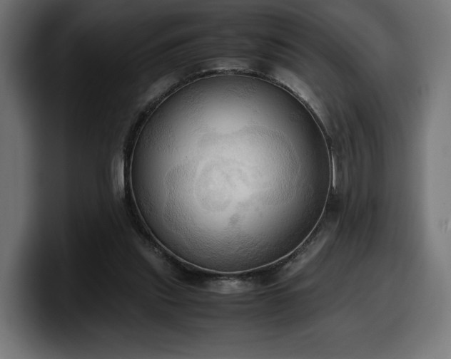 X0000100480253200806131236