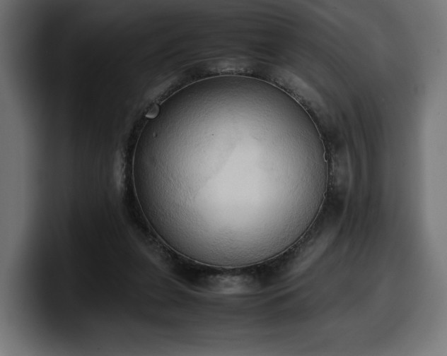 X0000100480255200806131236