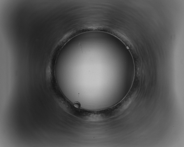 X0000100480256200806131236