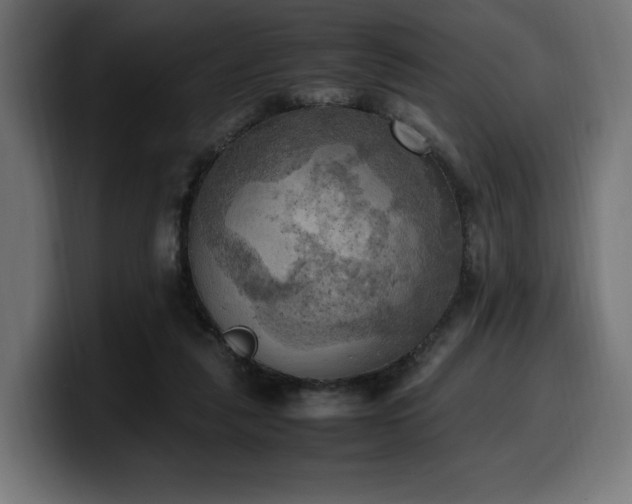 X0000100480259200806131236