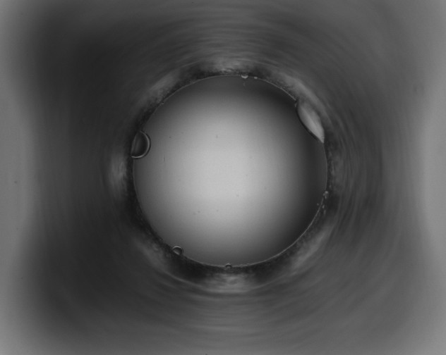 X0000100480260200806131236