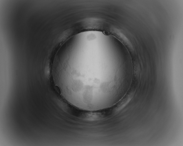 X0000100480261200806131236