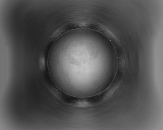 X0000100480262200806131236