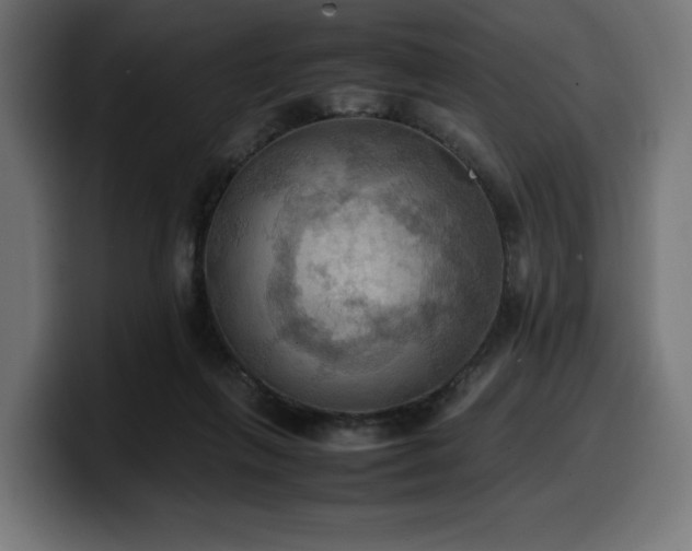 X0000100480263200806131236