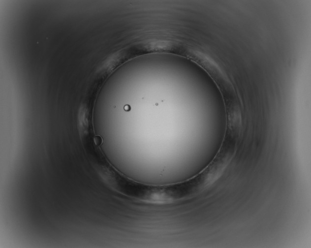 X0000100480264200806131236