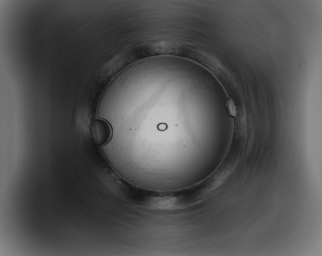 X0000100480266200806131236