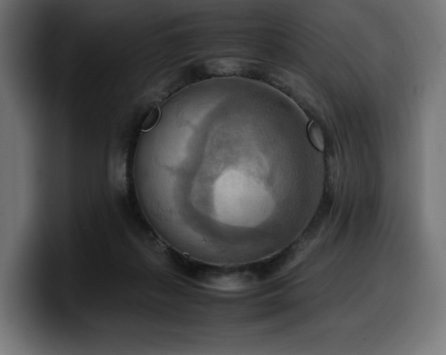 X0000100480267200806131236