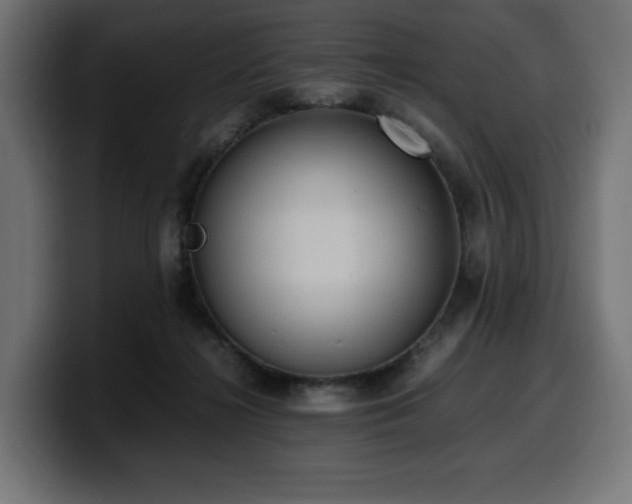 X0000100480268200806131236