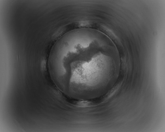 X0000100480269200806131236